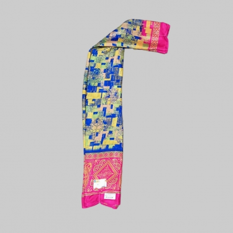 Shining Saree ( SASH4SF )